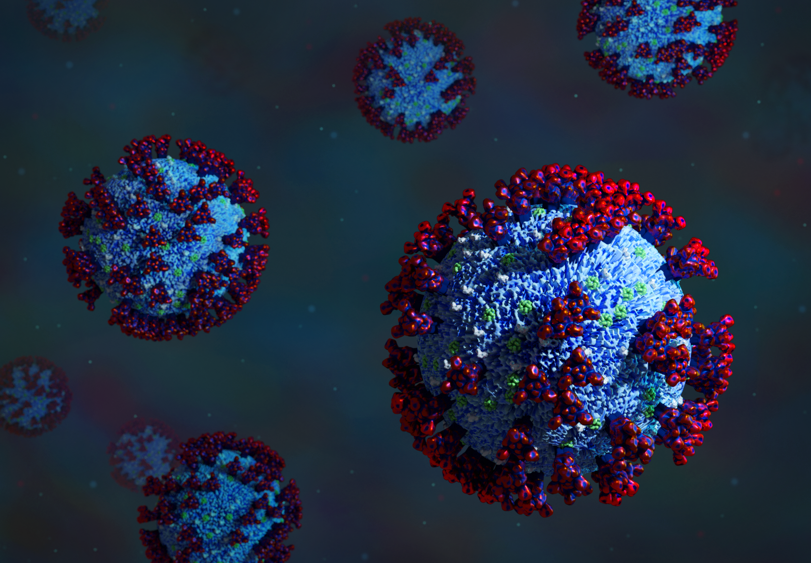 COVID-19 is the disease caused by the virus SARS-CoV-2. The virus is constructed with “spike” proteins on its outer membrane that anchors and fuses with host cells.