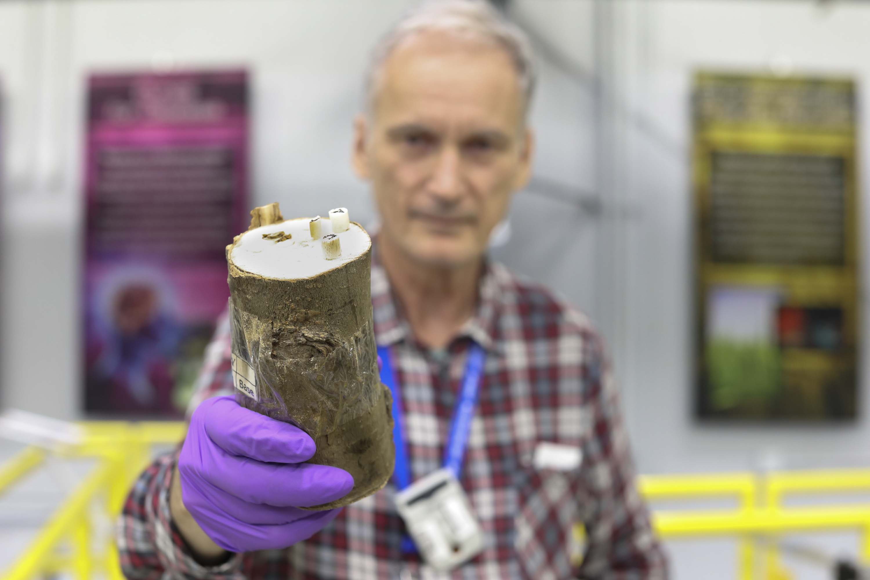 Frederik Ossler from Lund University analyzed samples of wood (pictured), straw, and cork to better understand how these biomass fuels degrade as they are subjected to extreme temperatures. (Image credit: ORNL/Genevieve Martin) 