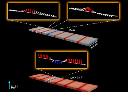 Image courtesy of Oak Ridge National Laboratory. The sample (gray) has no applied magnetic field and has left-handed (left inset) and right-handed (right inset) magnetic domain walls. When magnetized (red), the sample’s domain walls move closer together and either annihilate or combine (bottom inset). Image courtesy of Oak Ridge National Laboratory. The sample (gray) has no applied magnetic field and