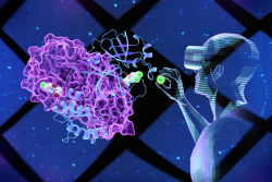 Virtual reality technology enabled look "inside" the Covid-19 virus and find an inhibitor molecule. 
