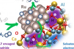 Image reprinted with permission from Kammert, J. et al. Nature of Reactive Hydrogen for Ammonia Synt