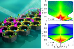 Quantum Disordered State of Magnetic Charges