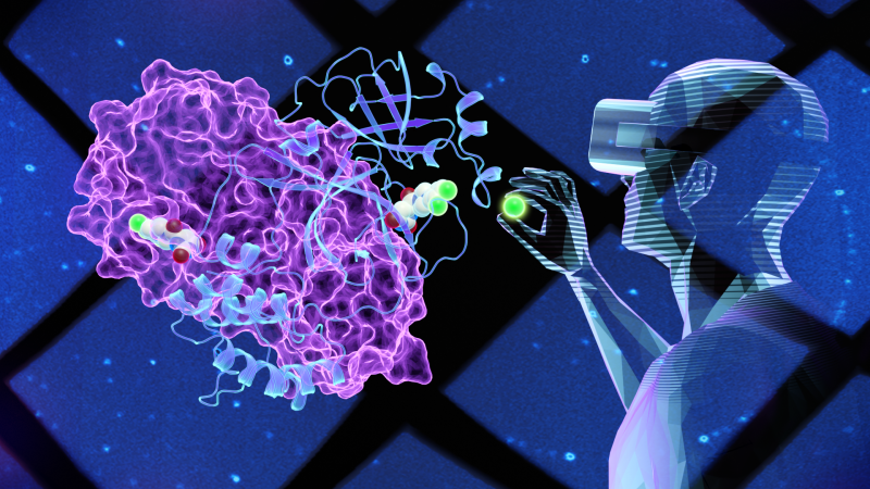 Virtual reality technology enabled look "inside" the Covid-19 virus and find an inhibitor molecule. 