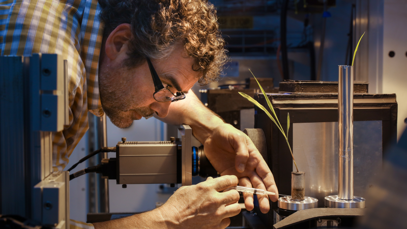 Jeff Warren, at a HFIR beamline, injects water into corn plant roots. Credit: ORNL/Genevieve Martin