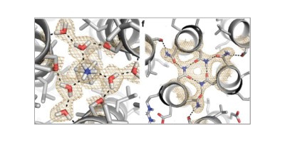 De novo Design of a Homo-Trimeric 