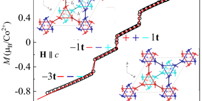 Field-tunable Toroidal Moment in a Chiral-lattice Magnet