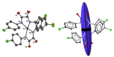 Local Magnetic Anisotropy of a Cobalt(II) Single-Ion Magnet Determined