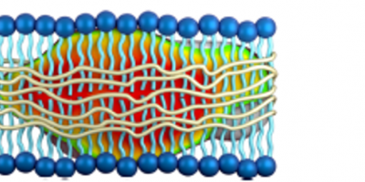 Copolymer/Lipid Nano-Assembly as Membrane Mimetic