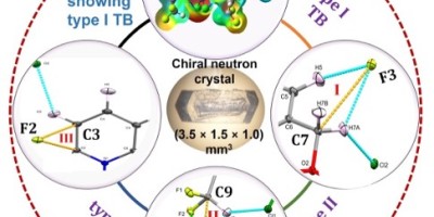 Noncovalent Interactions Revealed by Neutron Diffraction