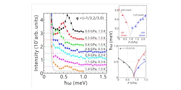 Novel Excitations Near Quantum Criticality in CsFeCl3​