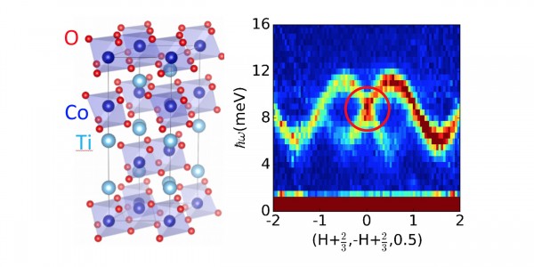 Dirac Magnon in a Honeycomb Quantum XY Magnet CoTiO3
