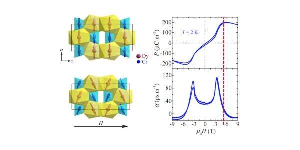 Large Linear Magnetoelectric Effect in DyCrO4​