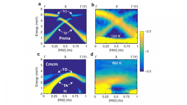 Extended Anharmonic Collapse of Phonon Dispersions in SnS