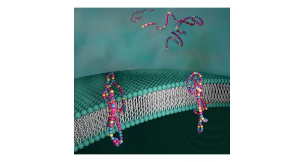 Artificial Proton Channels through Membranes