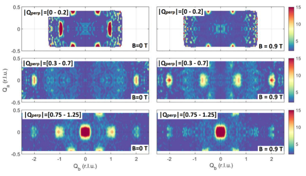 Competing Instabilities in a Kitaev Model Candidate System