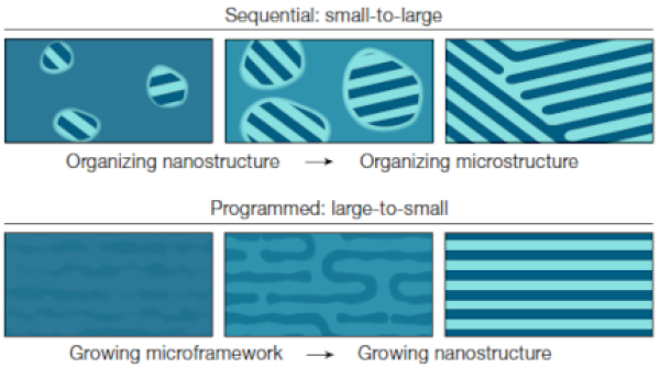 Comparison of the assembly pathway of typical sequential growth of nanosheets 