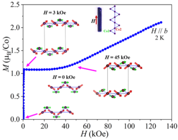 Exotic Magnetism of a Triangular Chain Structure