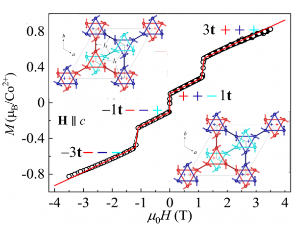 Field-tunable Toroidal Moment in a Chiral-lattice Magnet