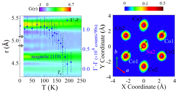 Hidden Local Symmetry Breaking for Understanding the Peculiar Magnetism in Co3Sn2S2  