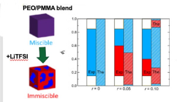 Lithium Salt Induces Phase Separation in Polymer Blend Electrolyte 