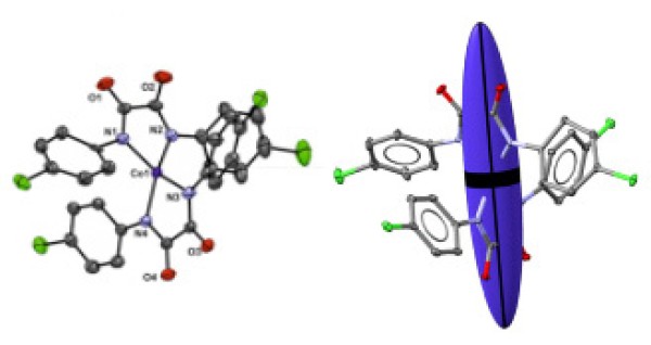 Local Magnetic Anisotropy of a Cobalt(II) Single-Ion Magnet Determined