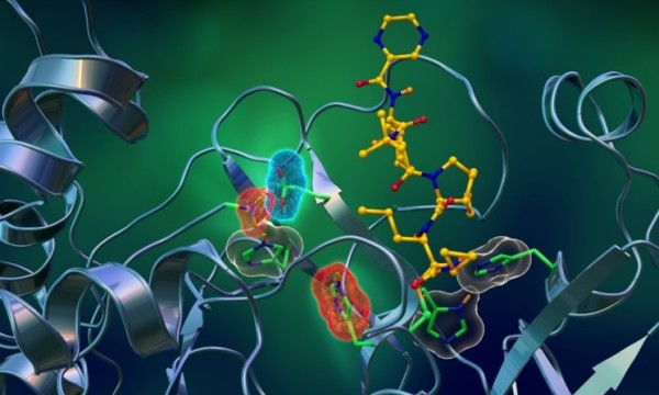 Inhibitor Binding and Active Site Electrostatics in SARS-CoV-2 Main Protease