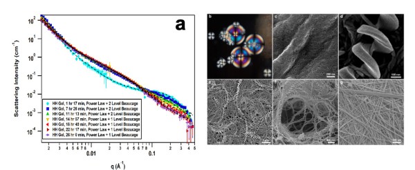 (a) SANS profiles and model fitting as a function of gelation time. (b) Polarized optical micrograph