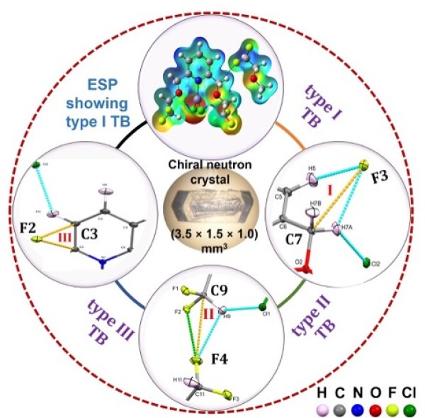 Noncovalent Interactions Revealed by Neutron Diffraction