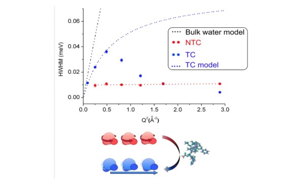 Water in Breast Cancer Cells Responds to Chemotherapy Drug Water in Breast Cancer Cells Responds to Chemotherapy Drug