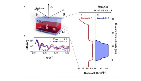 Symmetry Mismatch Controls Magnetism ​in a Ferroelastic Film​