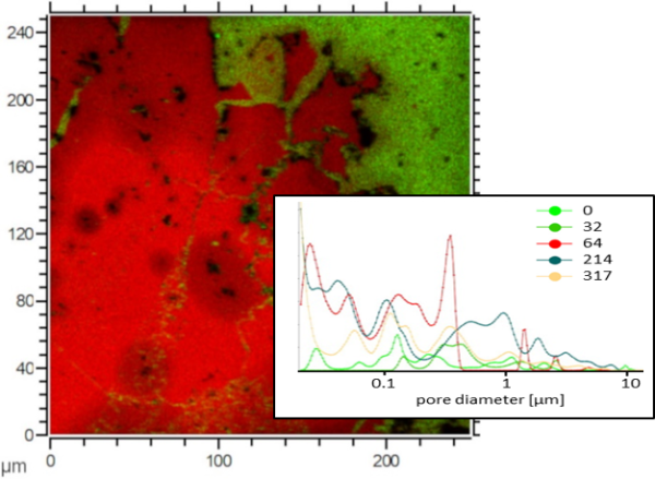 Pore Structure Determines Pathways of Rock Alteration