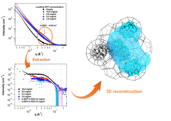 Protein Arrangement in Metal-Organic Framework