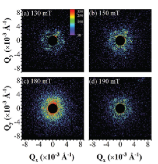 Skyrmion-Excited Spin-Wave Fractal Networks