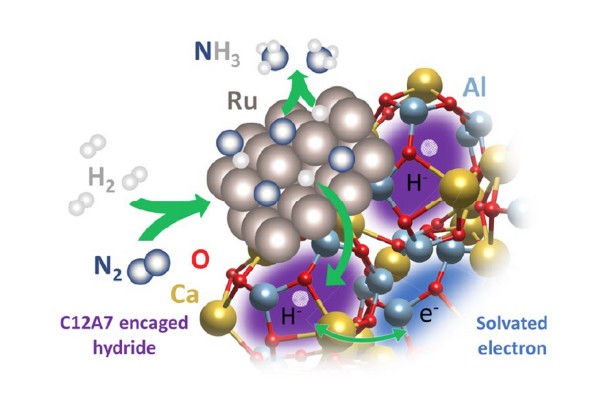 Surface Hydrogen Dominates Ammonia Synthesis Catalyzed by Electride