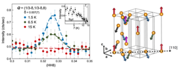 Weyl Electron-Mediated Spiral Spin Order in a Topological Magnet