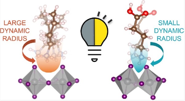 Correlating Broadband Photoluminescence with Structural Dynamics in Layered Hybrid Halide Perovskite