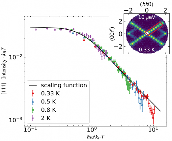 Dynamical Scaling as a Signature of Multiple Phase Competition in a Frustrated Magnet