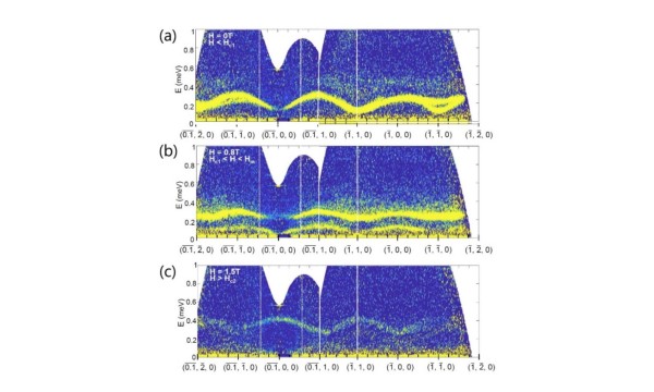 Bose Einstein Condensation in a Spin-Orbit Coupled Quantum Dimer Magnet (QDM) Bose Einstein Condensation in a Spin-Orbit Coupled Quantum Dimer Magnet (QDM)