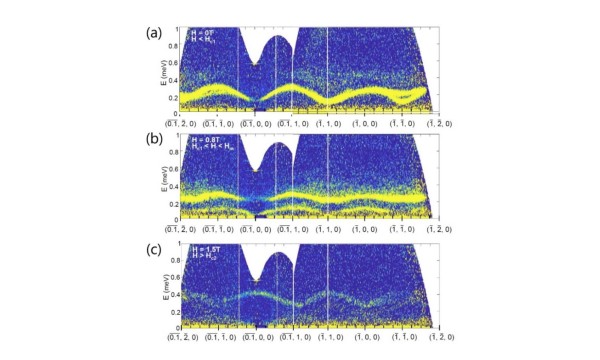 Bose Einstein Condensation ​ in a Spin-Orbit Coupled Quantum Dimer Magnet (QDM)