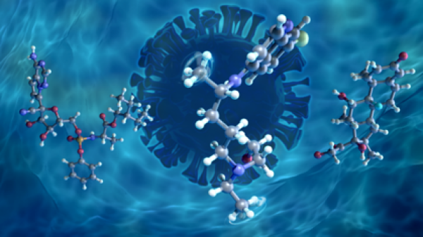 Hydration-Induced Disorder and Methyl Rotation in Potential COVID-19 Treatment Drug Molecules