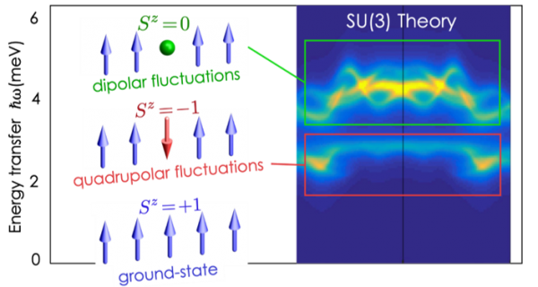 Quadrupolar Fluctuations in a Spin-1 Magnet
