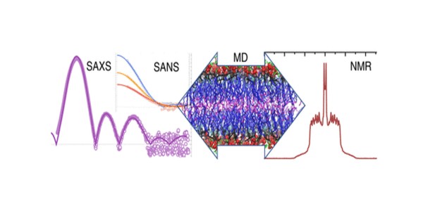 Molecular Structure of Sphingomyelin (SM) Bilayers