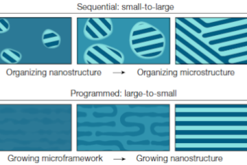 Comparison of the assembly pathway of typical sequential growth of nanosheets 