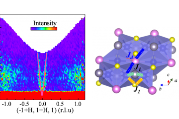 Magnetic Interactions and Novel Weyl State in Co3Sn2S2