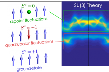 Quadrupolar Fluctuations in a Spin-1 Magnet